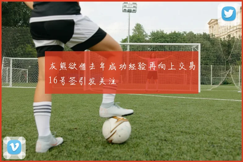 灰熊欲借去年成功经验再向上交易16号签引发关注