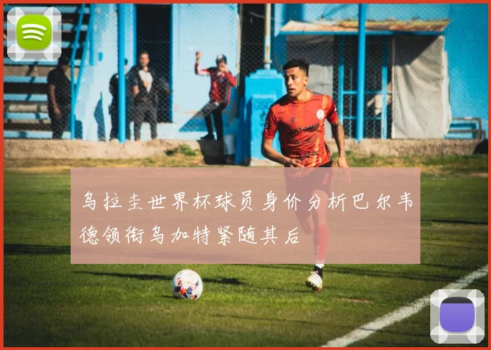 乌拉圭世界杯球员身价分析巴尔韦德领衔乌加特紧随其后